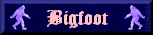 Cherokee Bigfoot Adventure Tour