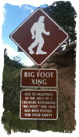 Bigfoot Tour